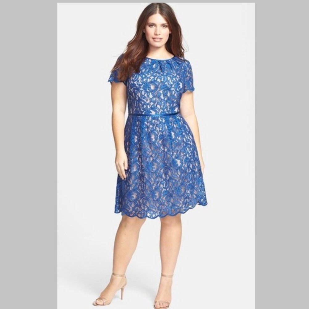 Blue Lace Overlay Fit & Flare A-Line Scallop Hem Short Sleeve Dress